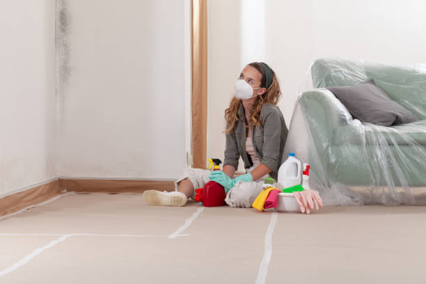 Reliable Basement Mold Removal contractor in Elizabeth, NJ by WQB Mold Removal